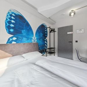 Standaard Kamer met een King Size Bed